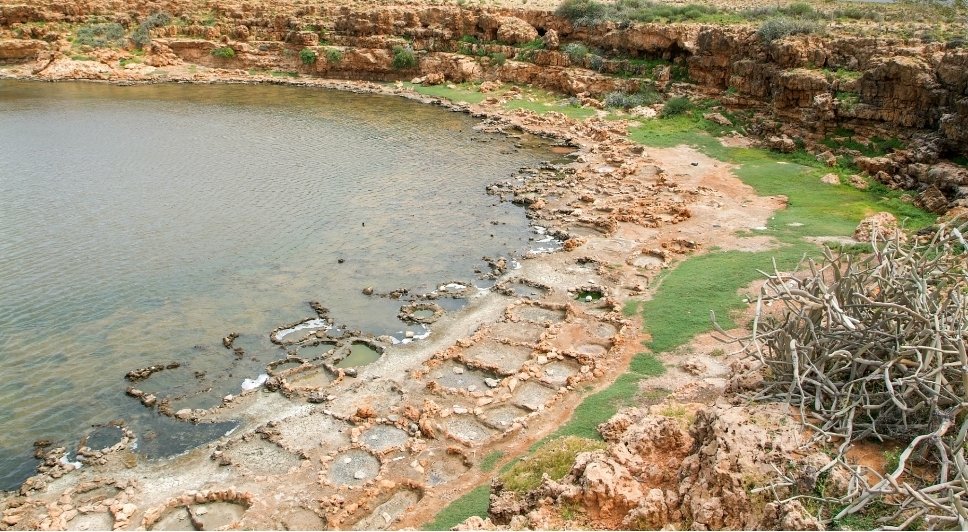 How Development Agencies Can Enhance Capacity Building Efforts in Yemen