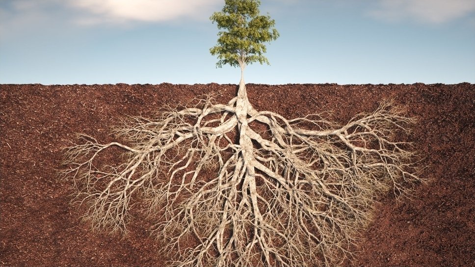 What is the Role of Consultancy Firms in Yemen's Economic Growth