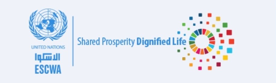 Strengthening national capacities for SDG data production and reporting