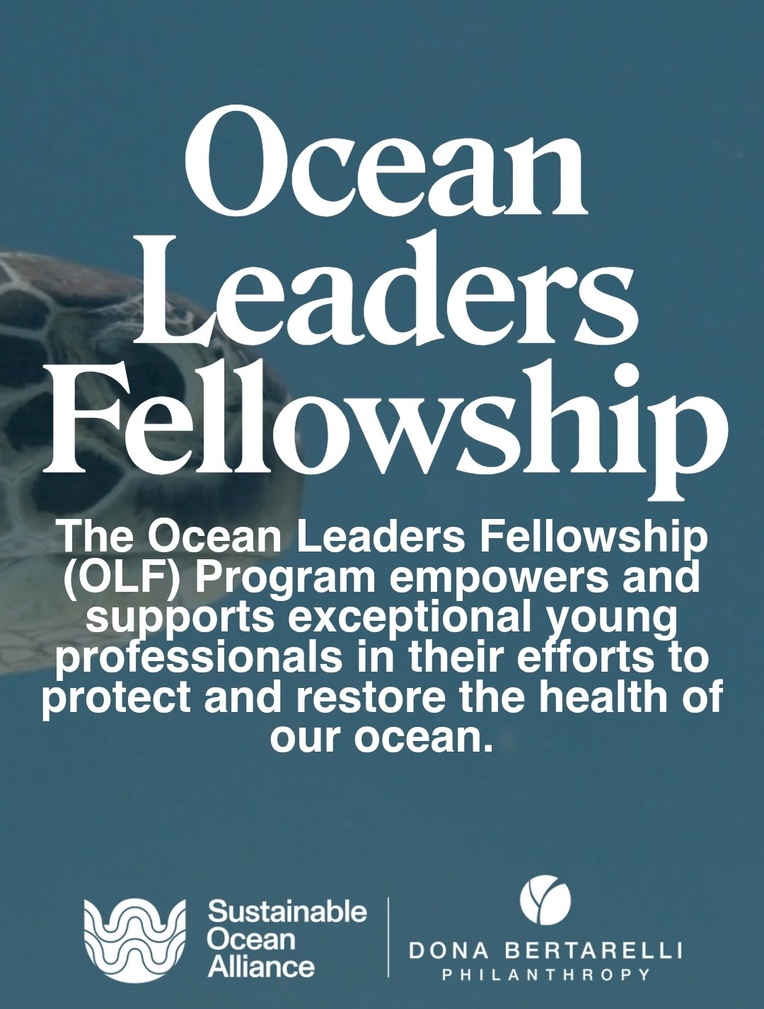 Fully Funded Global Opportunity: Travel to Kenya! 🇰🇪